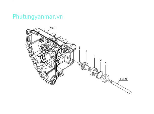 Truyền động cấy 